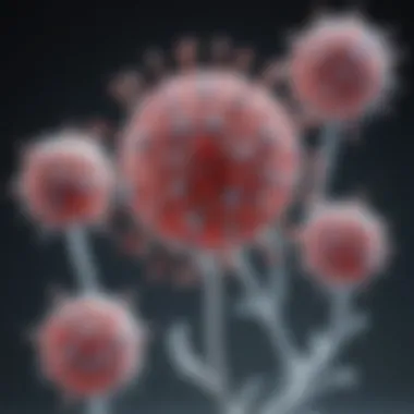 Infographic showing the mechanisms of hama antibodies in action