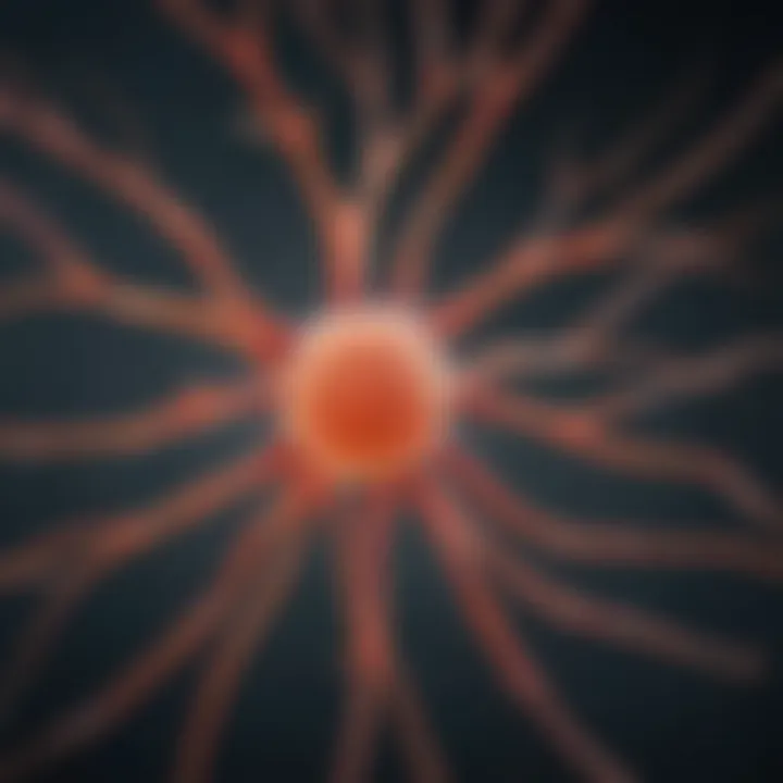 Illustration showing the motor neuron degeneration