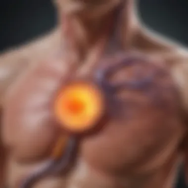 Bilirubin Metabolism in the Liver Diagram illustrating bilirubin metabolism in the liver
