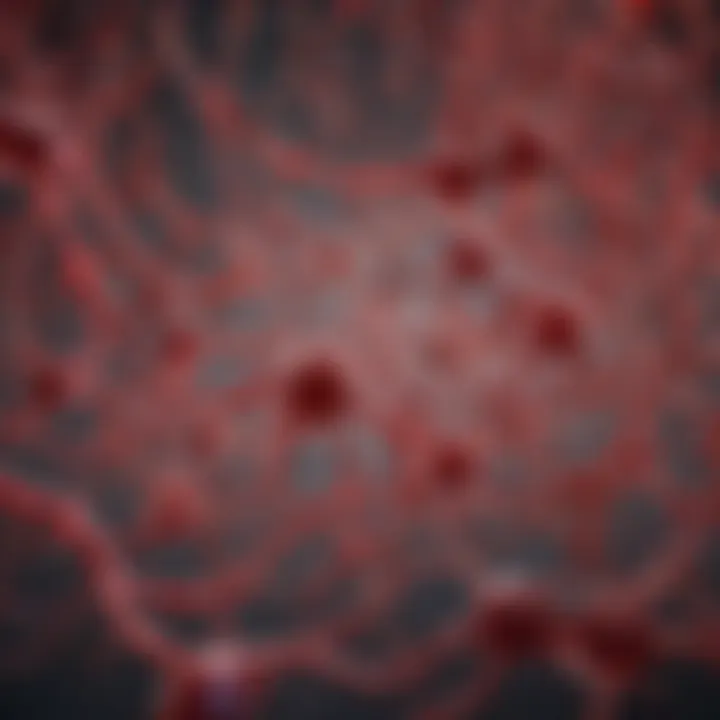 Illustration of blood coagulation pathways