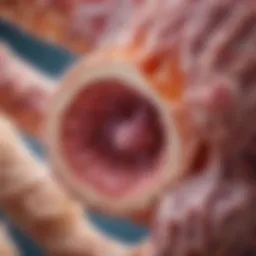 Microscopic view of endometrial tissue