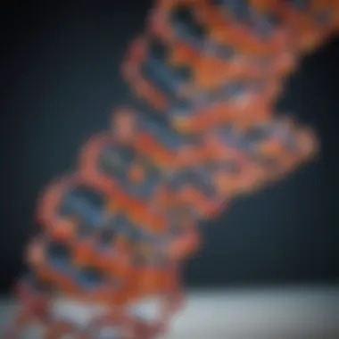 Ribosome Reading mRNA Codons Visual representation of ribosome reading mRNA codons