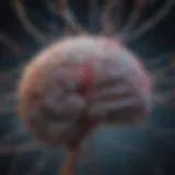 Abstract representation of the brain with neural connections highlighting prodromal phases