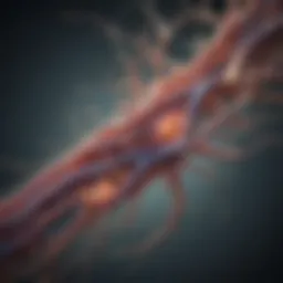 Illustration depicting the neural pathways affected by Parkinson's disease.