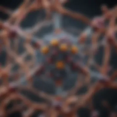 Molecular Architecture of RET Molecular structure of RET gene