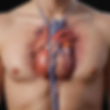 Comorbidities Associated with Hypertensive Heart Disease Diagram illustrating comorbidities related to hypertensive heart disease