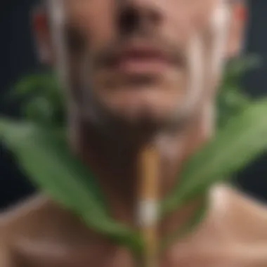 A close-up view of a tobacco plant with leaves.