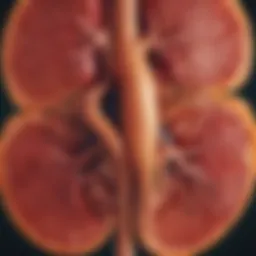Illustration depicting the classification of chronic kidney disease stages.