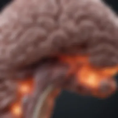 Understanding Stage 4 Metastatic Melanoma in the Brain Introduction Understanding Stage 4 Metastatic Melanoma in the Brain Introduction