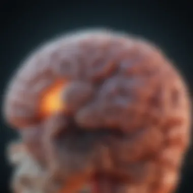 Notable Understanding Stage 4 Metastatic Melanoma in the Brain Notable Understanding Stage 4 Metastatic Melanoma in the Brain