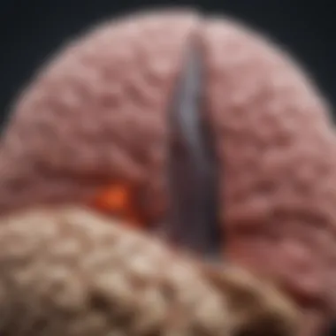 Understanding Stage 4 Metastatic Melanoma in the Brain Summary
