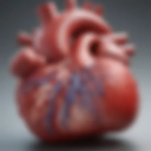 Illustration of the heart's anatomy showing blood flow dynamics