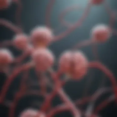 Representation of Genetic Code Related to Brain Aneurysms Genetic code representation