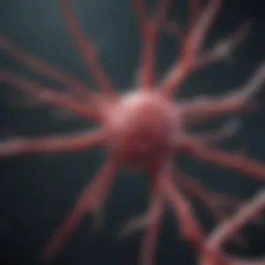Molecular Mechanisms Behind Brain Aneurysm Development Molecular mechanisms in brain aneurysms