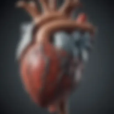 Cardiac Structures Related to QRS Complex Anatomical illustration showcasing cardiac structures related to the QRS complex