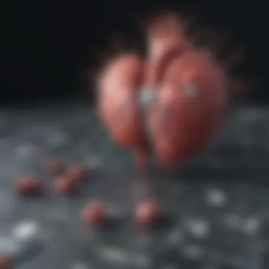 Morphologies of the QRS Complex Graphical infographic depicting various morphologies of the QRS complex