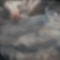 Historical development of pavement materials in the US